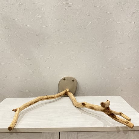 ピノキオの鼻⑥  貝塚伊吹