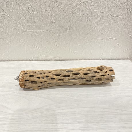カクタスパーチ②  小 直径約4cm 長さ20cm