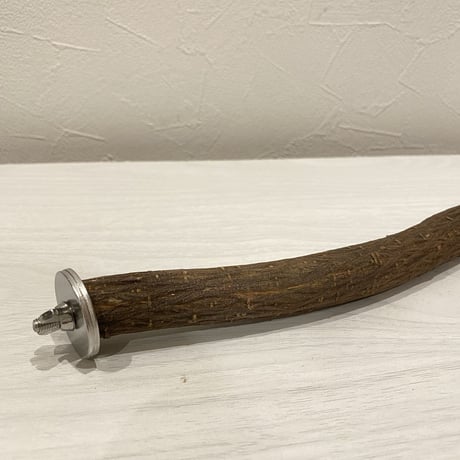 殿様パーチ（自然木ツタ）④ HOEI35サイズ 直径2cm