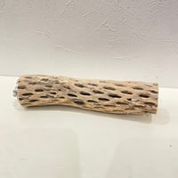 カクタスパーチ⑯ 直径約4.5cm/長さ20cm