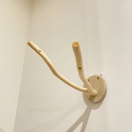 ピノキオの鼻 ③ 桧（ヒノキ）