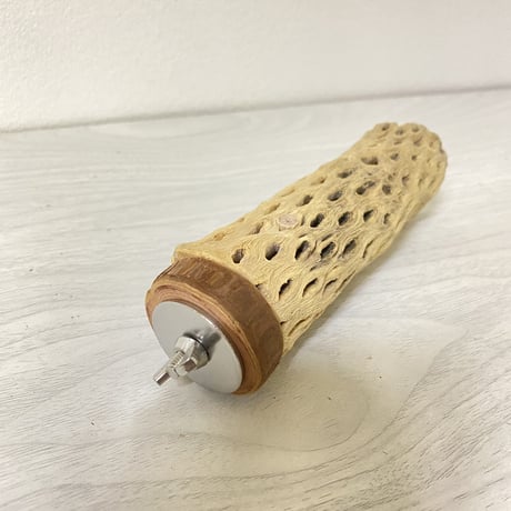 カクタスパーチ④小サイズ直径（約3-4cm）／12.5cm