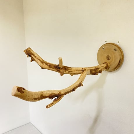 ピノキオの鼻④