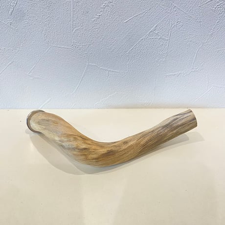 自然木（ツタ皮無し）パーチ 直径2.3cm/長さ23cm