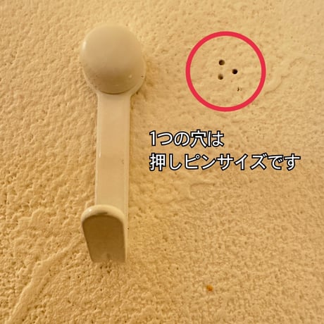 トウカエデのピノキオの鼻【A】