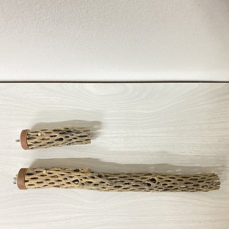 【トリーズ様専用】カクタスパーチ 極小サイズ長さ/8cm/  のコピー