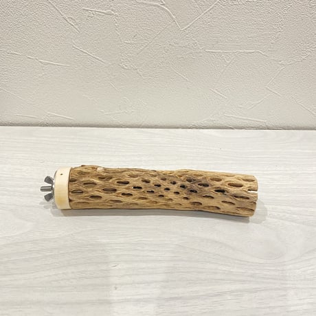 カクタスパーチ⑤  極小 直径3cm前後 長さ15cm
