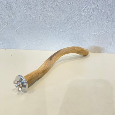 自然木（ツタ皮無し）パーチ 直径1.8cm/長さ19.5cm