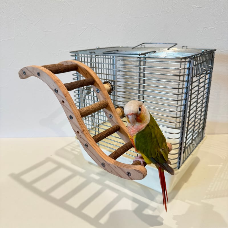 ウェーブラダー ハシゴ 【自然木の止まり木 インコのおもちゃ】 | 自然
