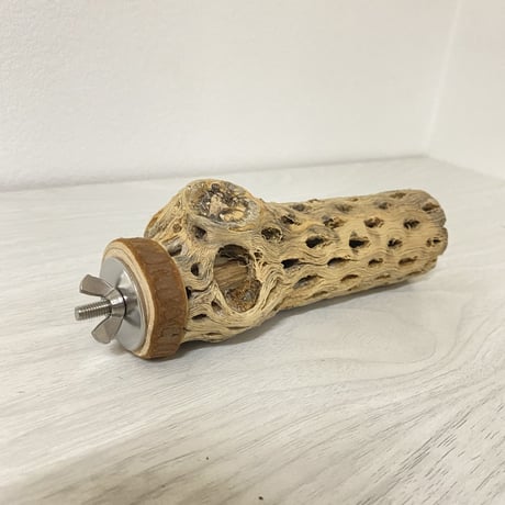 カクタスパーチ⑦ 小サイズ 直径（約4cm）長さ/13.5cm