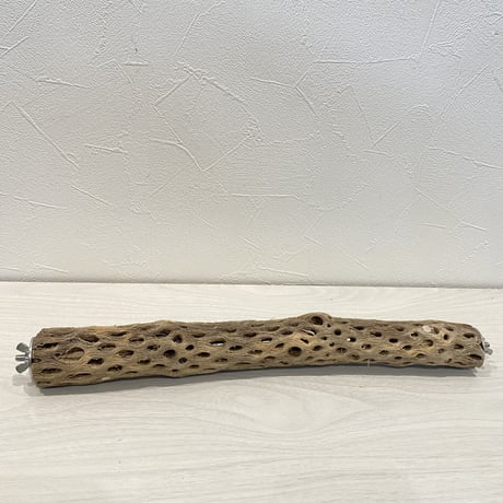 ケージサイズカクタスパーチ③  HOEI35 小（直径3-4cm）