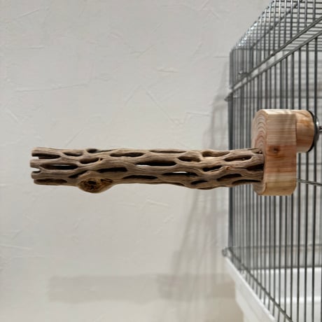 カクタスパーチ極小サイズ⑤ 直径2.4cm/長さ15cm【自然木 止まり木 バンブルフット 趾瘤症 】