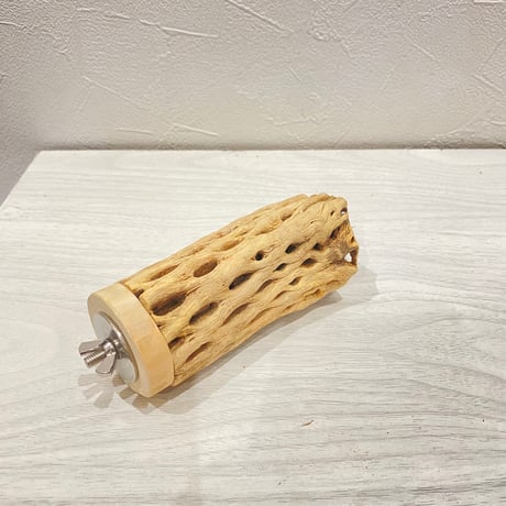 カクタスパーチ【8】直径4~5cm/長さ10cm