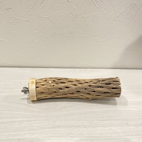 カクタスパーチ【20】 小直径3.5cm/15cm