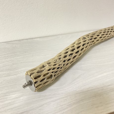 ケージサイズカクタスパーチ ⑫極小サイズ直径2-3cm HOEI35サイズ