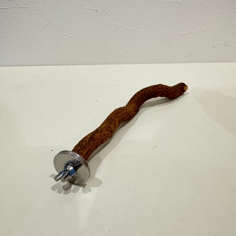自然木（ツタ）パーチ 直径約1.4cm/長さ20cm