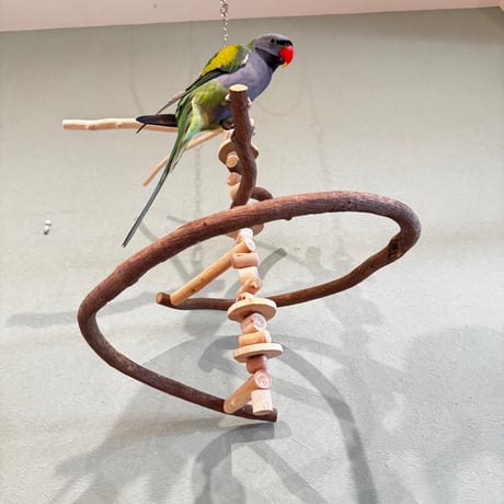 コトリのなる木カスタム　つり下げゆらゆらバードアスレチック【インコ・オウムのおもちゃ・自然木の止まり木】