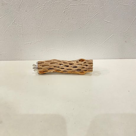 カクタスパーチ① 直径約3cm/長さ13cm