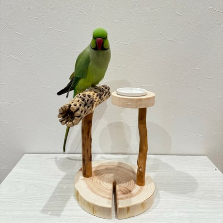 おやつ入れ付きカクタススタンドパーチ