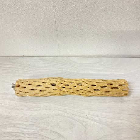 ハートフルサイズ カクタスパーチ① 小 直径3-4cm／長さ22cm