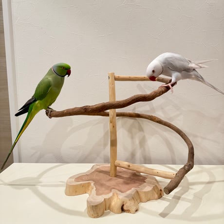 ツタのぐるぐるバードアスレチック 【インコ 天然木 自然木 パーチ 止まり木】