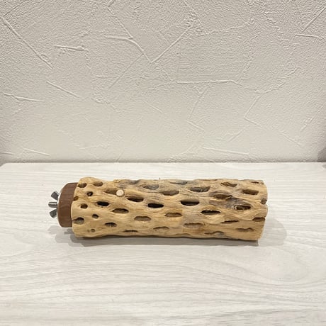 カクタスパーチ⑫  小 直径約4cm前後/14cm