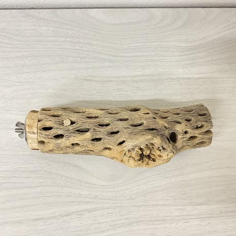 カクタスパーチ① 小サイズ 直径（約4cm）長さ/15cm