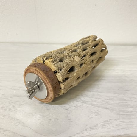 【中型〜大型用】カクタスパーチ⑥中 直径5.5cm／長さ9.5cm