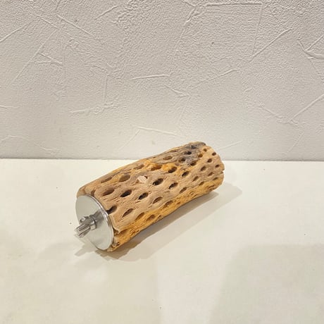 カクタスパーチ(C) 直径約4.5cm/長さ11cm