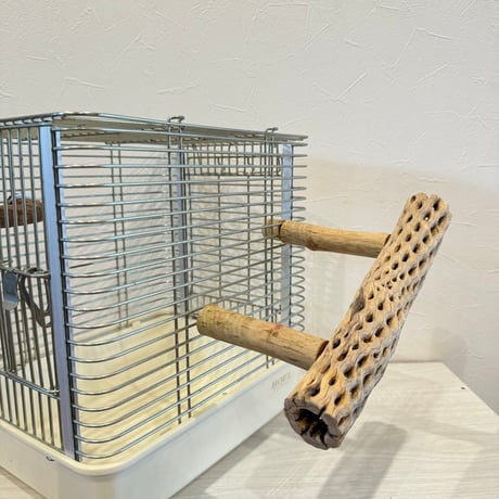 使い方いろいろ 屋上カクタスパーチ【2】 小25cm