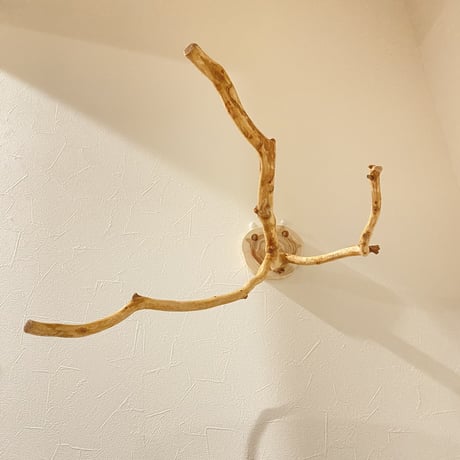 ピノキオの鼻 ⑥