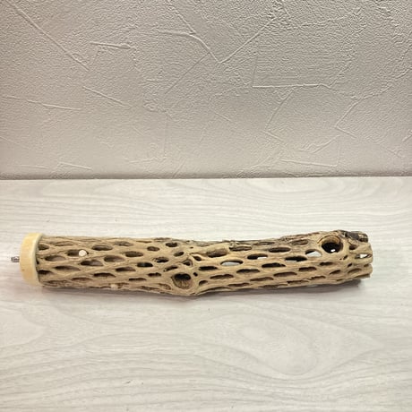 カクタスパーチ【K】  小 直径4cm前後 長さ25cm