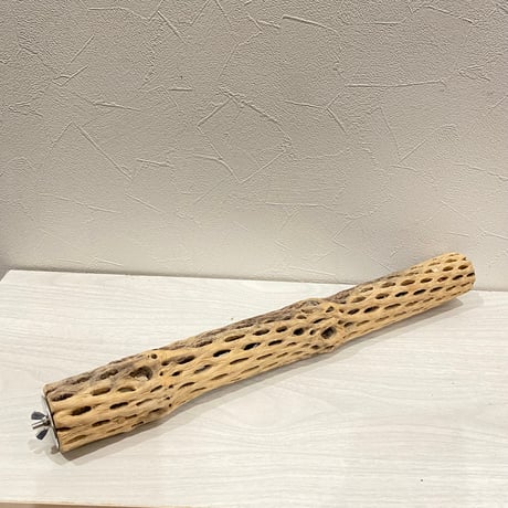 ケージサイズカクタスパーチ③ 中サイズ直径4.5~5cm