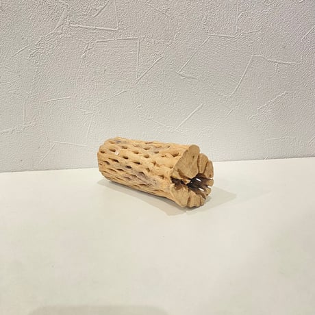 カクタスパーチ③  直径約5cm/長さ12.5cm