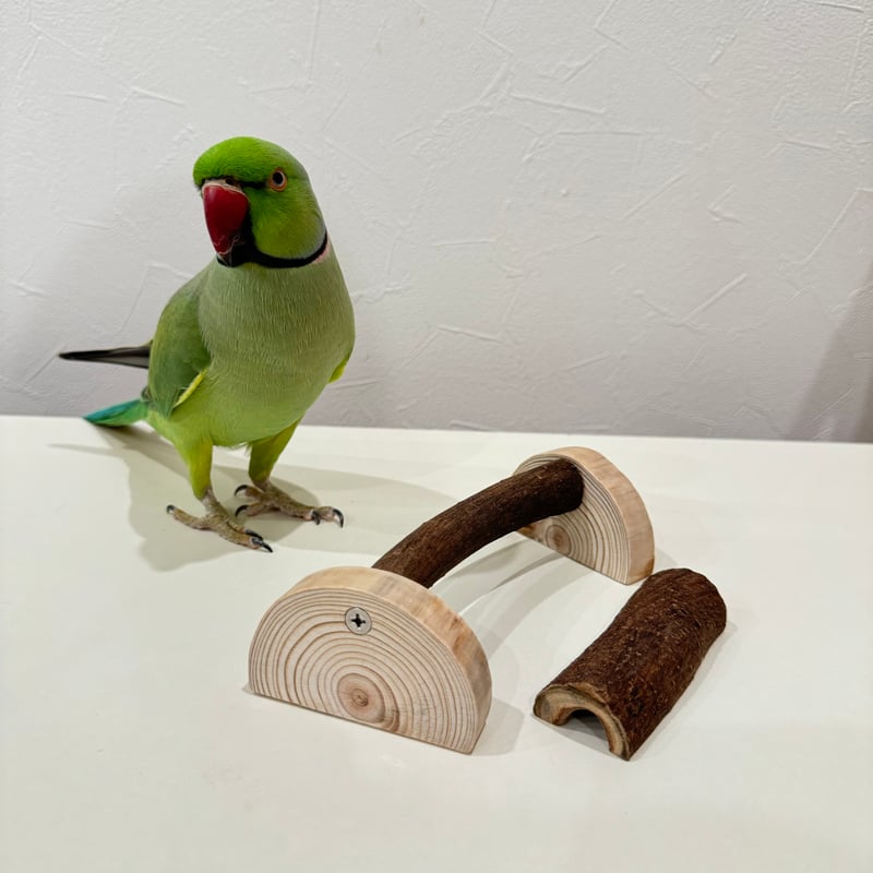 幼鳥・老鳥・介護用 置き型パーチ① 小型から中型さん | 自然木の鳥