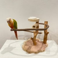 自由にカスタム 壁掛けバードアスレチック【B】【インコのおもちゃ