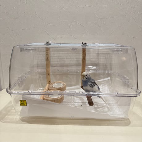 【受注製作】ルーミー用つり下げL字パーチ 幼鳥・老鳥・病鳥【SANKOルーミーベーシック用 インコ 天然木の止まり木】