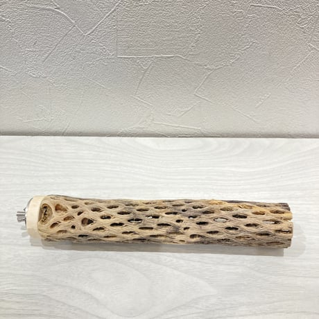 カクタスパーチ【14】小 直径約3.5cm 長さ20cm