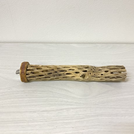 カクタスパーチ⑮ 極小サイズ 直径（約2-3cm）長さ/20cm  のコピー