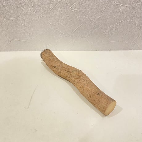 自然木（ツタ）パーチ 直径約2.8cm/長さ20cm