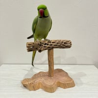 カクタスのスタンドパーチ　パーチ長さ19cm／高さ17cm