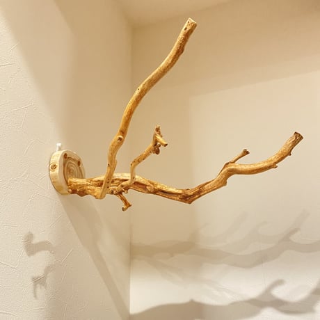 ピノキオの鼻 ⑦