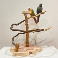 ツタのぐるぐるバードアスレチック①【インコのおもちゃ・自然木のとまり木】