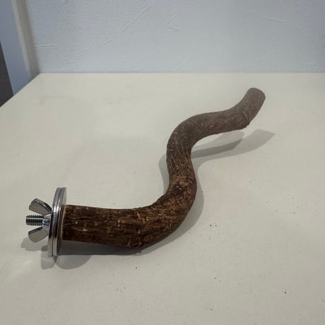 自然木（ツタ）パーチ 直径約1.5cm/長さ16cm