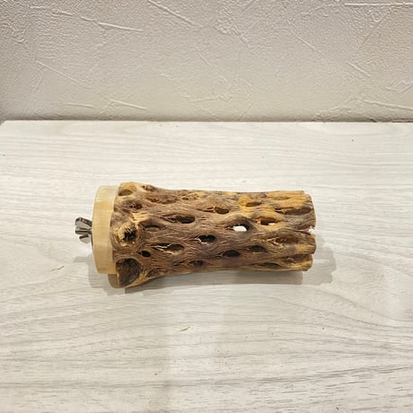 カクタスパーチ【10】直径4~5cm/長さ10cm