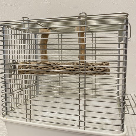 使い方いろいろ 屋上カクタスパーチ【B】 極小 横25cm 高さ8cm