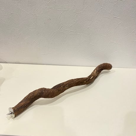 殿様パーチ（自然木ツタ） HOEI465サイズ  直径約2.5cm