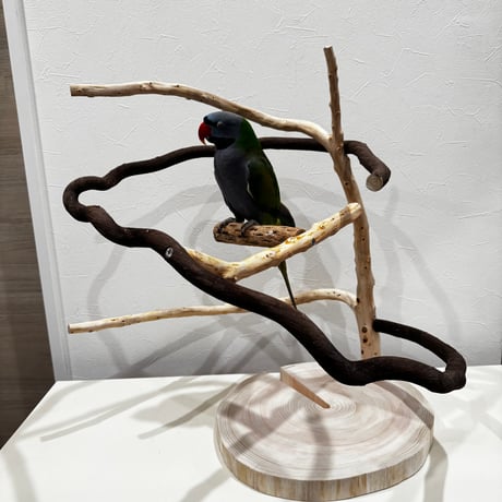 【K様専用】ツタと貝塚伊吹のぐるぐるバードアスレチック 【自然木 インコのおもちゃ】