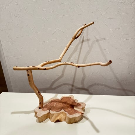 貝塚伊吹のスタンドパーチ 【自然木 とまり木 】
