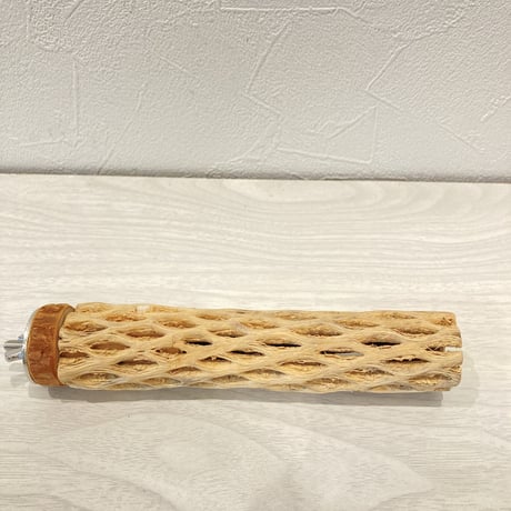 カクタスパーチ⑦  極小 直径3cm前後 長さ15cm